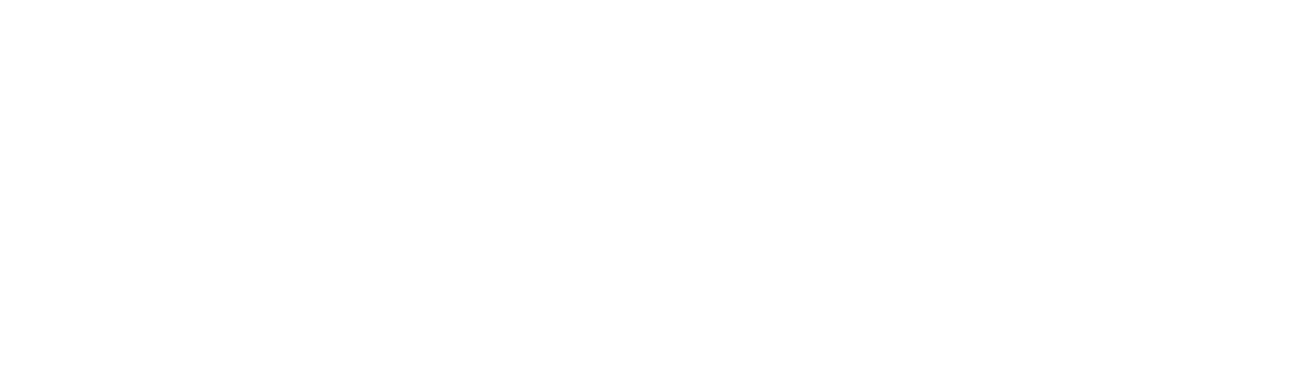 CTS-NewLogo-2020-White-TransparentBG