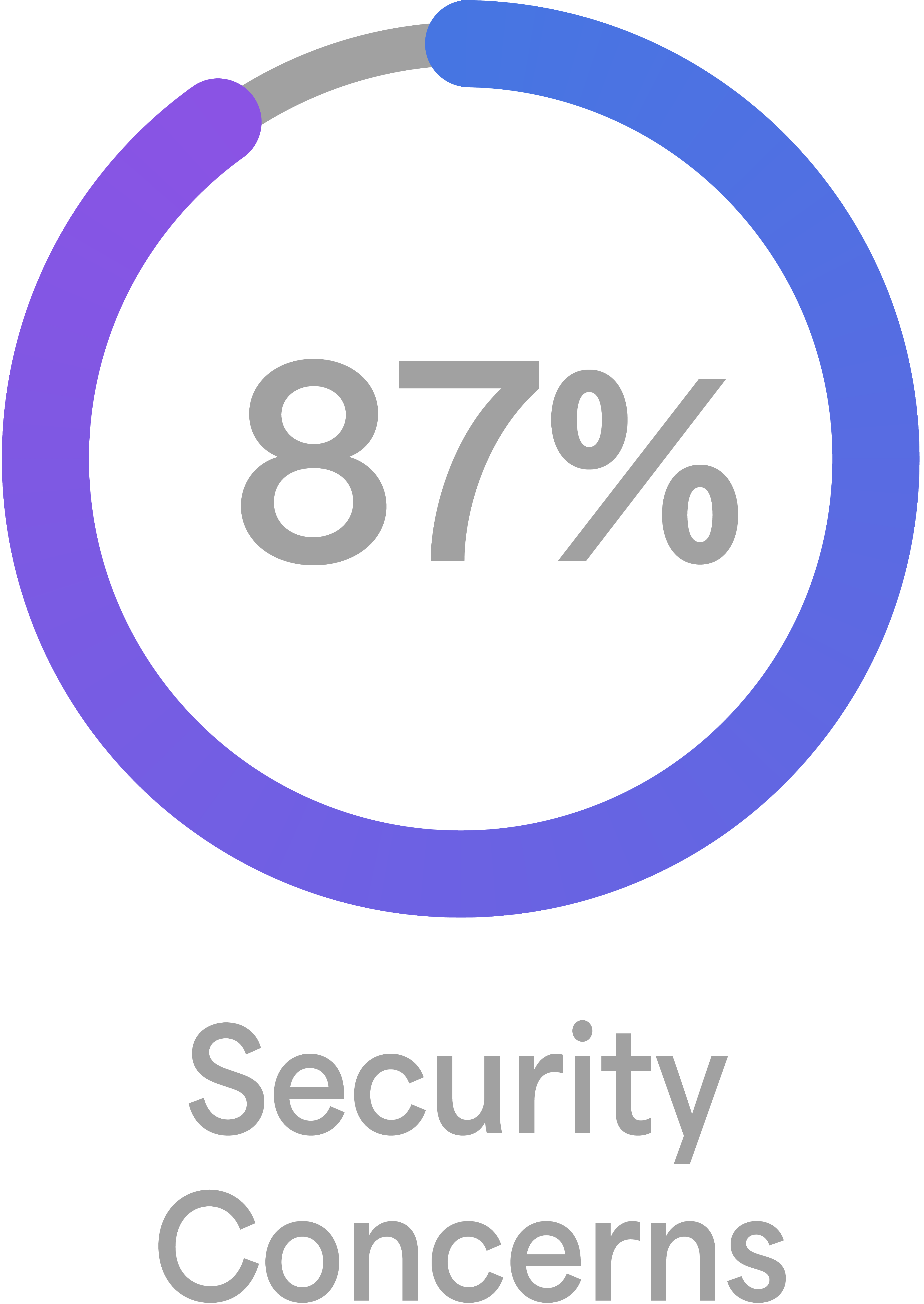 security concern-1